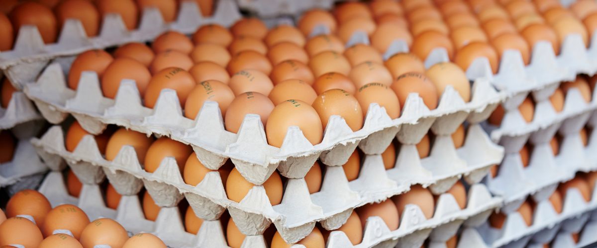 eggs (5)